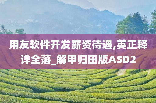 用友软件开发薪资待遇,英正释详全落_解甲归田版ASD2