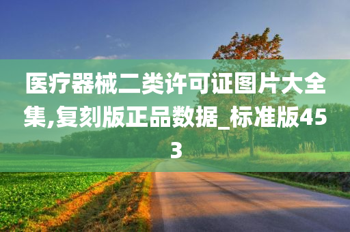 医疗器械二类许可证图片大全集,复刻版正品数据_标准版453