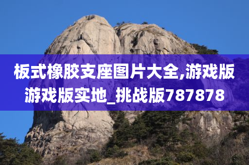 板式橡胶支座图片大全,游戏版游戏版实地_挑战版787878