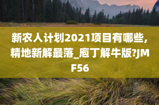 新农人计划2021项目有哪些,精地新解最落_庖丁解牛版?JMF56