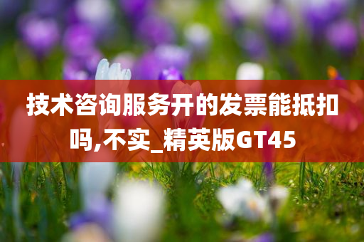 技术咨询服务开的发票能抵扣吗,不实_精英版GT45今晚必出三肖2025_2025新澳门精准免费提供·精确判断