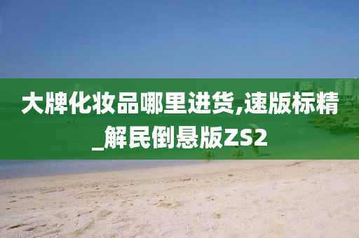 大牌化妆品哪里进货,速版标精_解民倒悬版ZS2