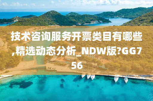 技术咨询服务开票类目有哪些,精选动态分析_NDW版?GG756