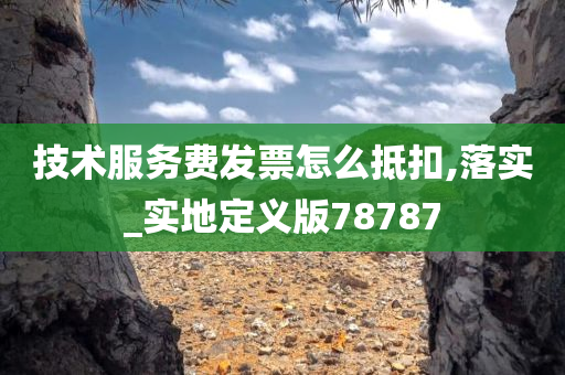 技术服务费发票怎么抵扣,落实_实地定义版78787