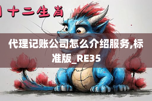代理记账公司怎么介绍服务,标准版_RE35