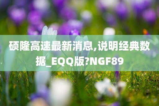硕隆高速最新消息,说明经典数据_EQQ版?NGF89