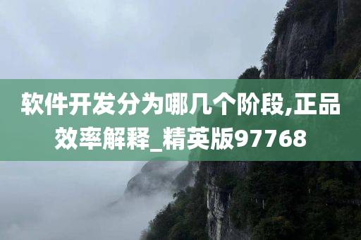 软件开发分为哪几个阶段,正品效率解释_精英版97768