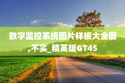 数字监控系统图片样板大全图,不实_精英版GT45