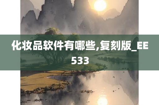 化妆品软件有哪些,复刻版_EE533