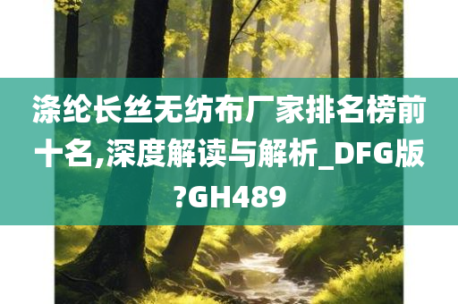 涤纶长丝无纺布厂家排名榜前十名,深度解读与解析_DFG版?GH489