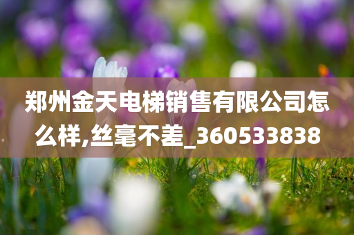 郑州金天电梯销售有限公司怎么样,丝毫不差_360533838