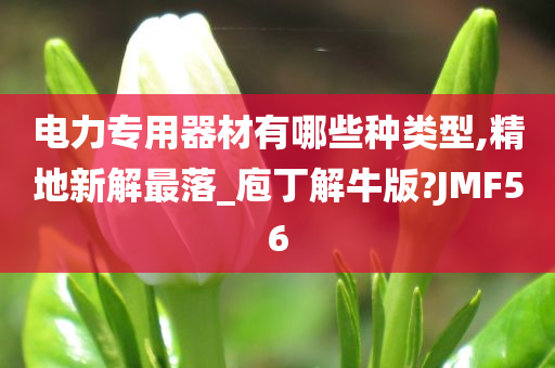 电力专用器材有哪些种类型,精地新解最落_庖丁解牛版?JMF56