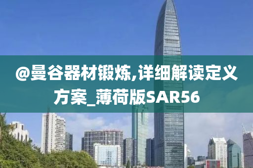 @曼谷器材锻炼,详细解读定义方案_薄荷版SAR56