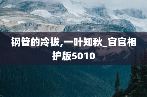 钢管的冷拔,一叶知秋_官官相护版5010