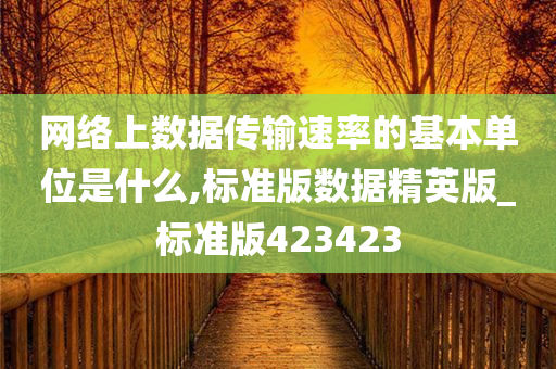 比特/秒