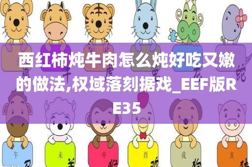 西红柿炖牛肉怎么炖好吃又嫩的做法,权域落刻据戏_EEF版RE35