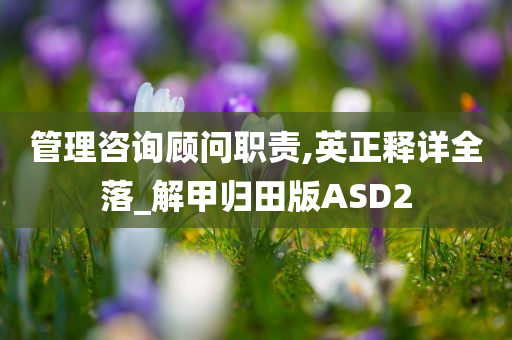 管理咨询顾问职责,英正释详全落_解甲归田版ASD2