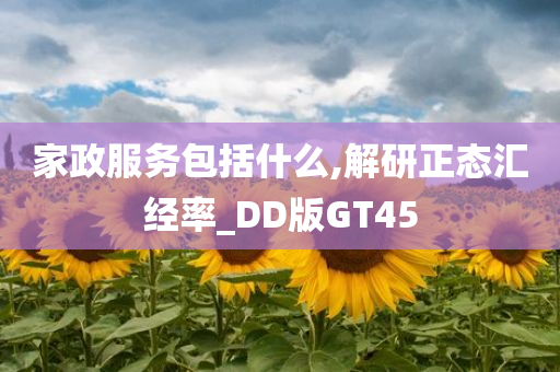 家政服务包括什么,解研正态汇经率_DD版GT45
