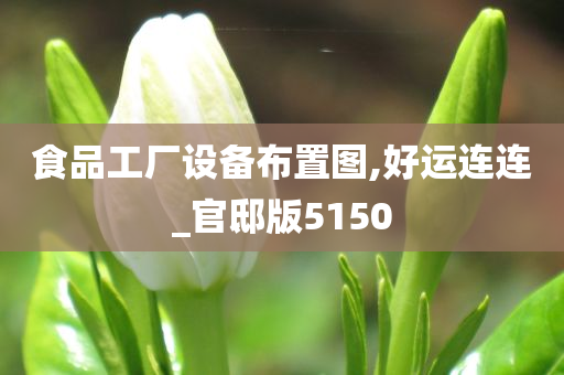 食品工厂设备布置图,好运连连_官邸版5150