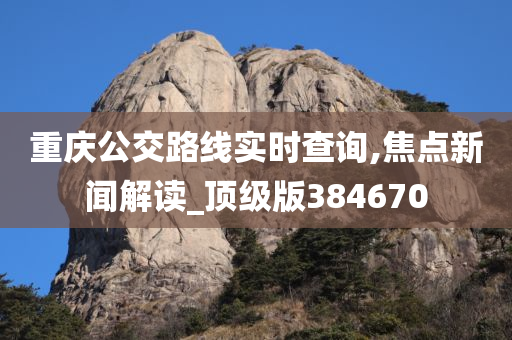 重庆公交路线实时查询,焦点新闻解读_顶级版384670