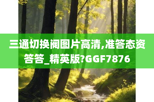 GGF7876 第2页