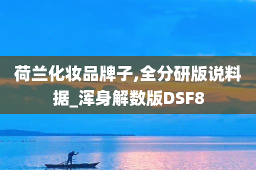 荷兰化妆品牌子,全分研版说料据_浑身解数版DSF8