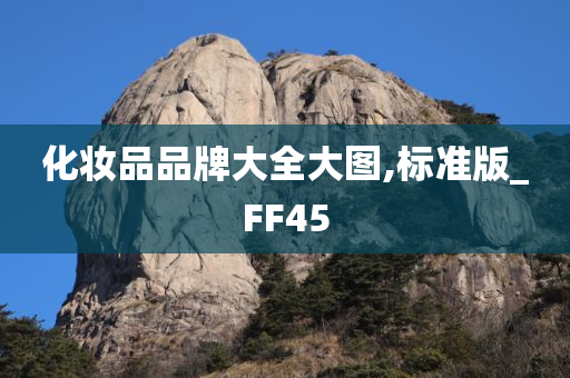 化妆品品牌大全大图,标准版_FF45