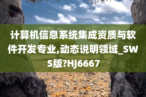 计算机信息系统集成资质与软件开发专业,动态说明领域_SWS版?HJ6667