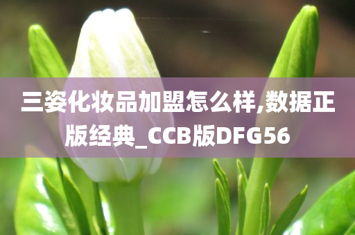 三姿化妆品加盟怎么样,数据正版经典_CCB版DFG56