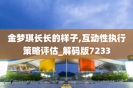 金梦琪长长的样子,互动性执行策略评估_解码版7233