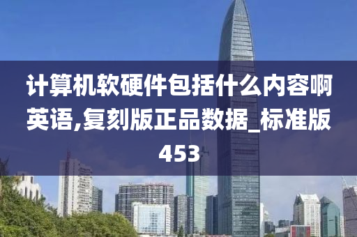 计算机软硬件包括什么内容啊英语,复刻版正品数据_标准版453
