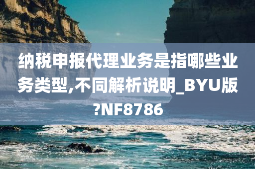 业务类型