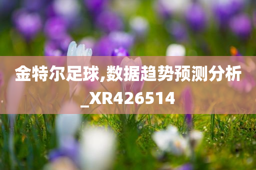 金特尔足球,数据趋势预测分析_XR426514
