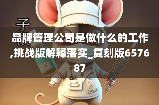 品牌管理公司是做什么的工作,挑战版解释落实_复刻版657687