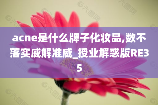 acne是什么牌子化妆品,数不落实威解准威_授业解惑版RE35