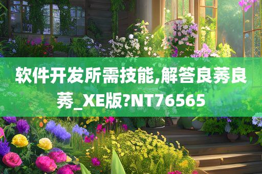 软件开发所需技能,解答良莠良莠_XE版?NT76565