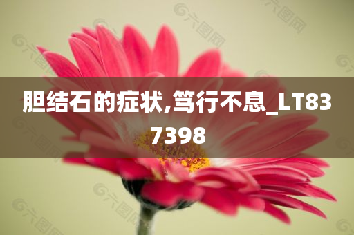 胆结石的症状,笃行不息_LT837398