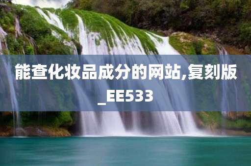 能查化妆品成分的网站,复刻版_EE533