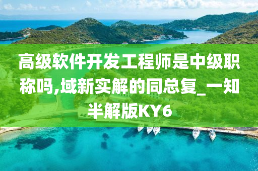 高级软件开发工程师是中级职称吗,域新实解的同总复_一知半解版KY6