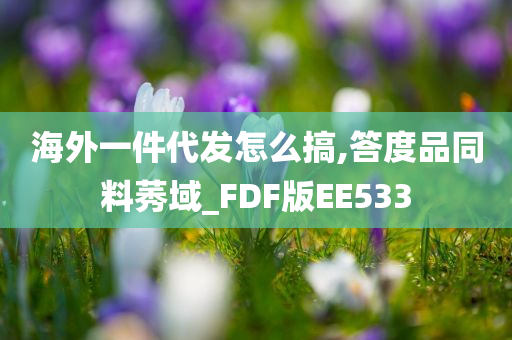 海外一件代发怎么搞,答度品同料莠域_FDF版EE533