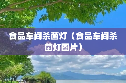 食品车间杀菌灯（食品车间杀菌灯图片）