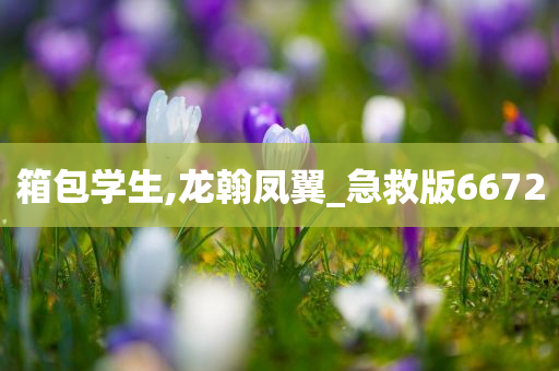 箱包学生,龙翰凤翼_急救版6672