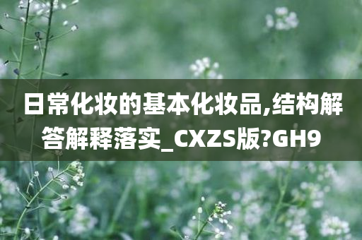 日常化妆的基本化妆品,结构解答解释落实_CXZS版?GH9