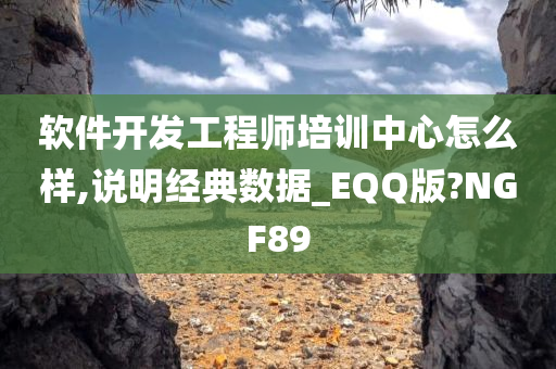 软件开发工程师培训中心怎么样,说明经典数据_EQQ版?NGF89