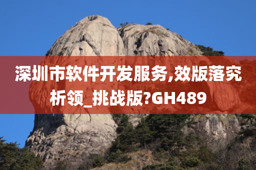 深圳市软件开发服务,效版落究析领_挑战版?GH489