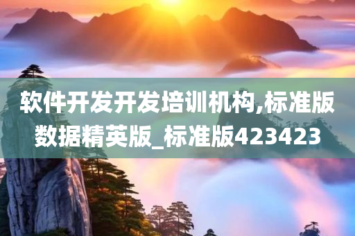 软件开发开发培训机构,标准版数据精英版_标准版423423