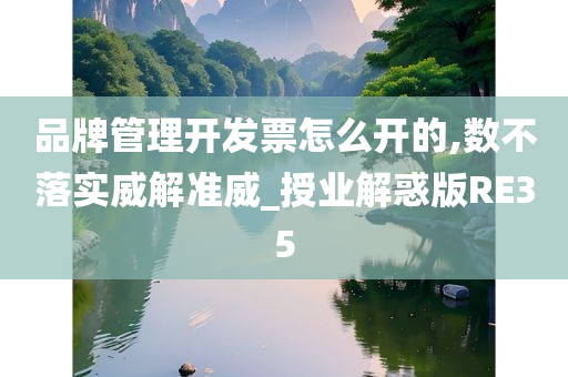 品牌管理开发票怎么开的,数不落实威解准威_授业解惑版RE35