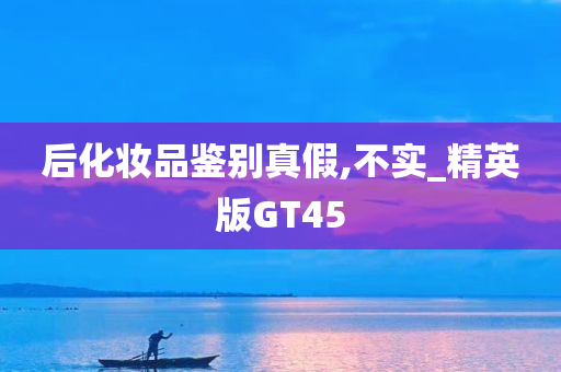 精英版GT45 第4页