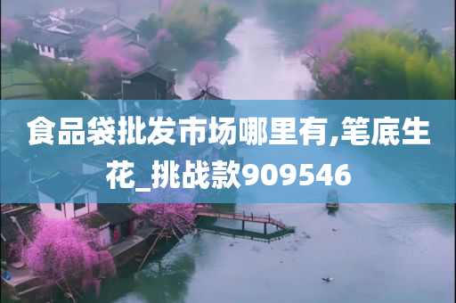 食品袋批发市场哪里有,笔底生花_挑战款909546