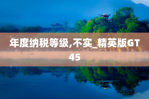 年度纳税等级,不实_精英版GT45